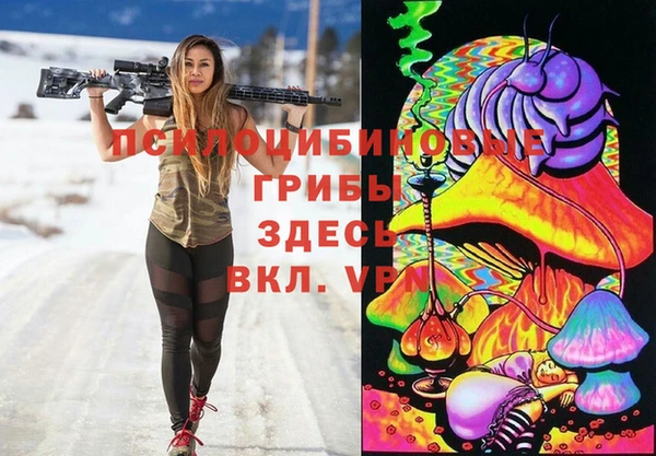 мдпв Киренск