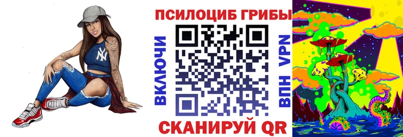 Галлюциногенные грибы Psilocybe  Купить где  Белый 